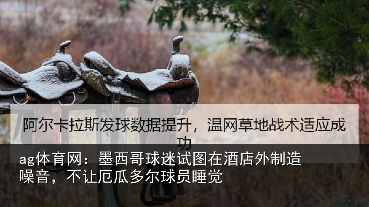 ag体育网：墨西哥球迷试图相关情况，不让相关情况