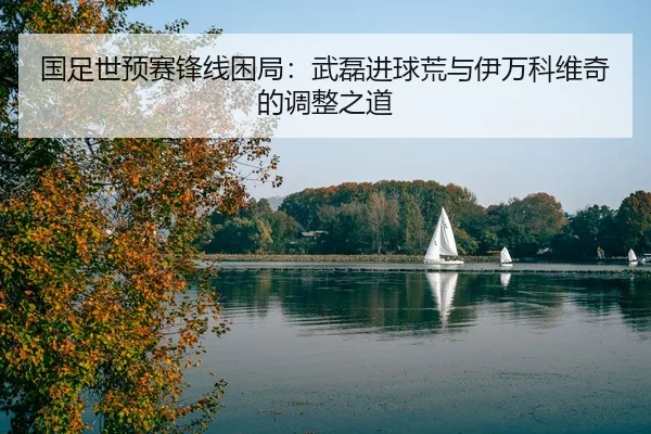 国足世预赛锋线困局：武磊进球荒与伊万科维奇的调整之道