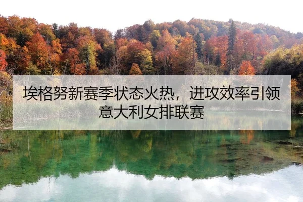 埃格努新赛季状态火热，进攻效率引领意大利女排联赛
