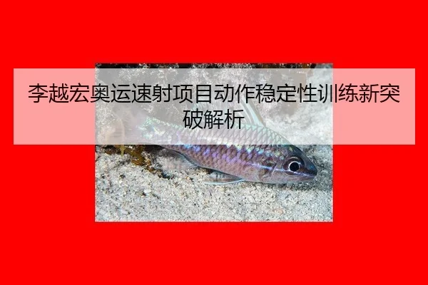 li-yue-hong-ao-yun-su-she-xiang-mu-dong-zuo-wen-ding-xing-xun-lian-xin-tu-po-jie-xi-2-122.jpg