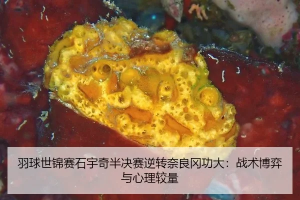 羽球世锦赛石宇奇半决赛逆转奈良冈功大：战术博弈与心理较量