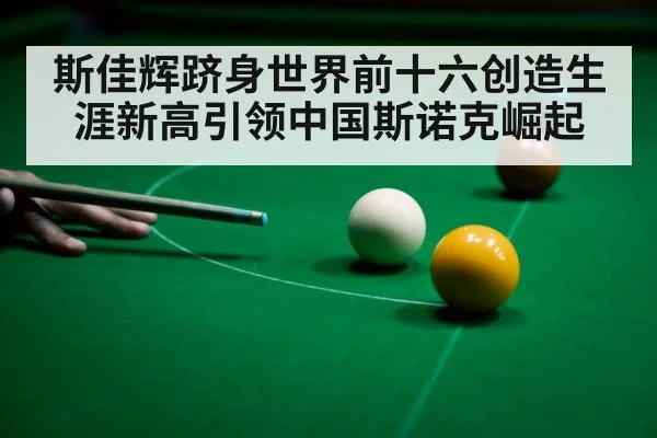 chinese snooker