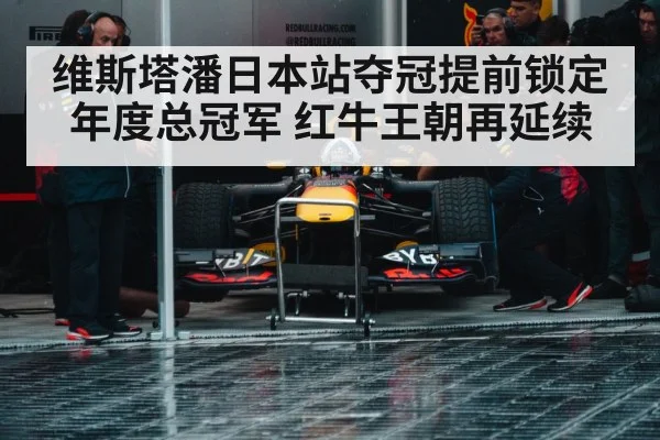 Red Bull racing team